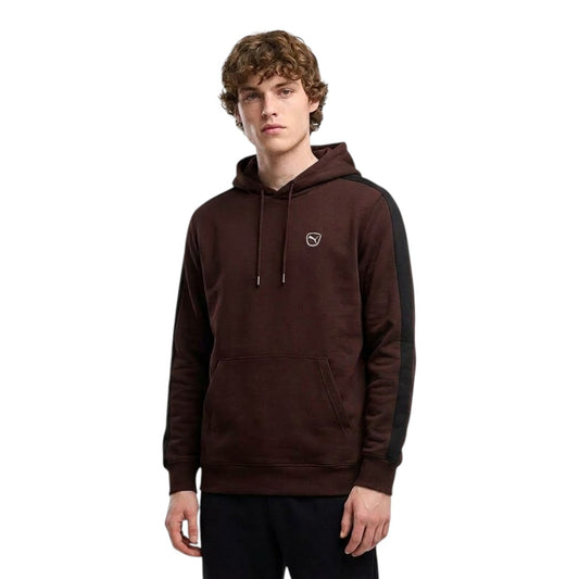 Felpa Puma con cappucccio Essentials Elevated - brown