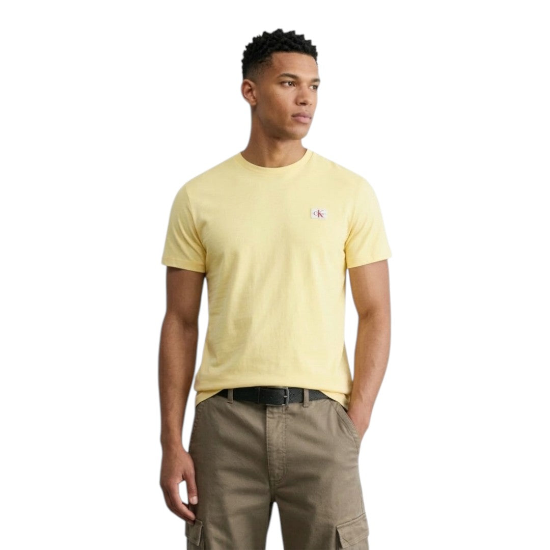T-shirt Calvin Klein in cotone con stemma