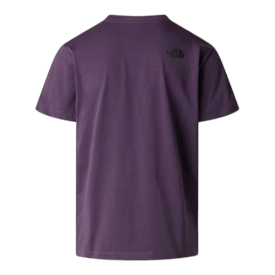 T-shirt The North Face - Evolution Box Half Dome Regular da uomo